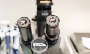 Assay-Finder-