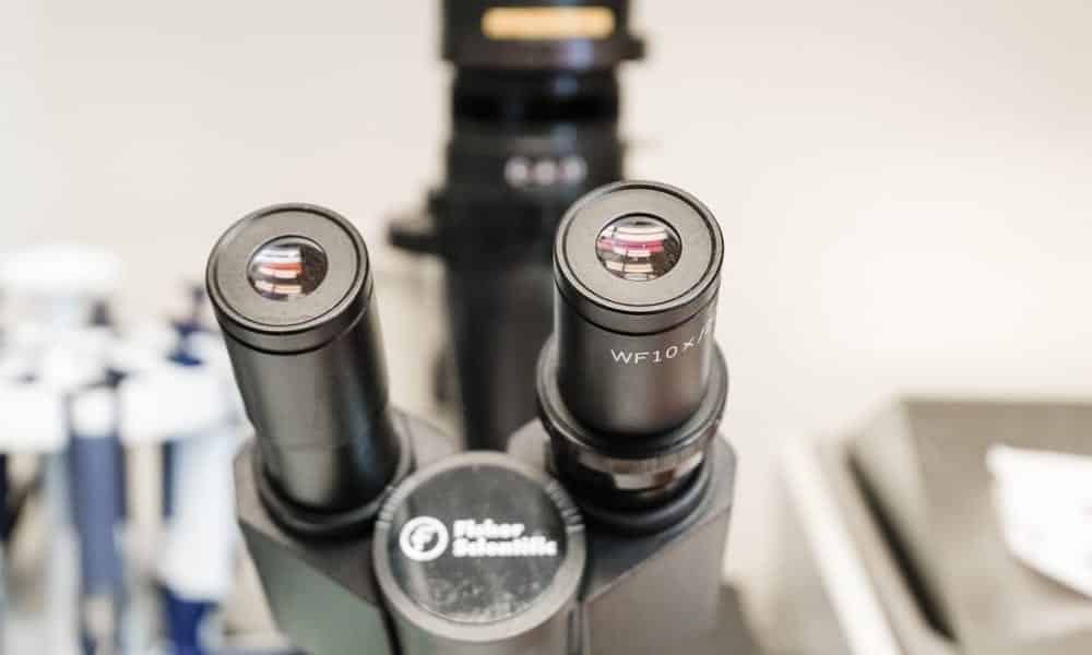 Assay-Finder-