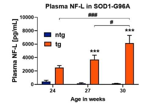 Quantification of neurofilament light chain in plasma of low copy SOD1-G93A mice.
