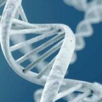 Rendering of DNA Double Helix - Gene