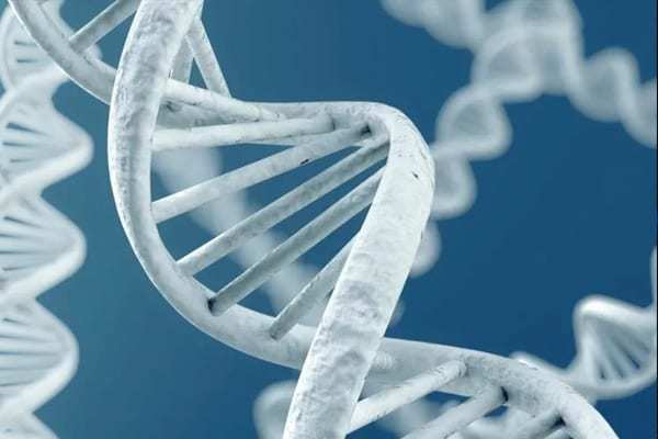 Rendering of DNA Double Helix - Gene