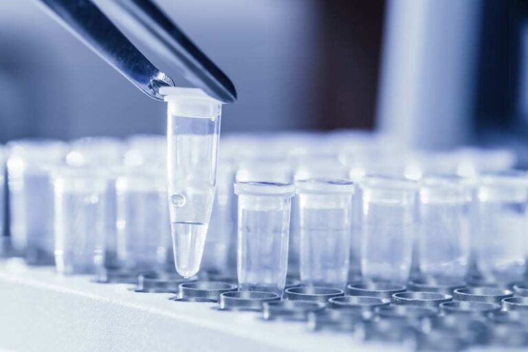 Loading DNA samples for PCR test