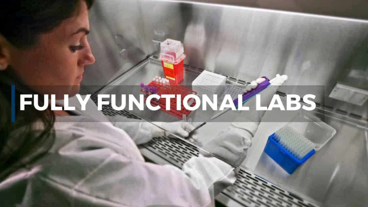 Functional Labs