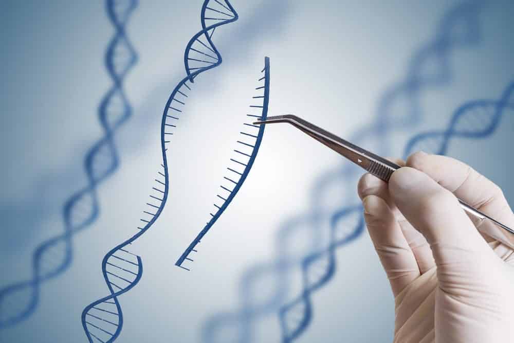 Gene editing, gloved hand using tweezers to manipulate DNA strand