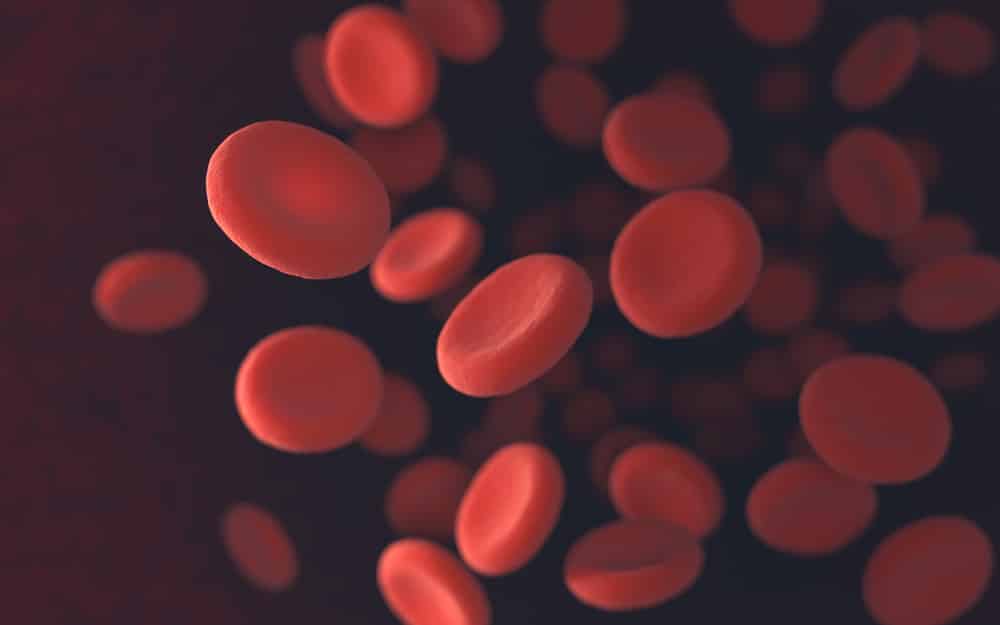 Red blood cells