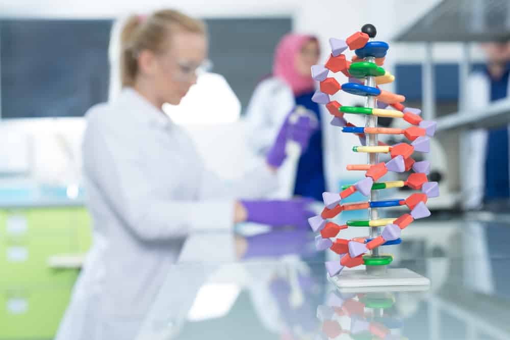 Model of DNA, scientists working in background