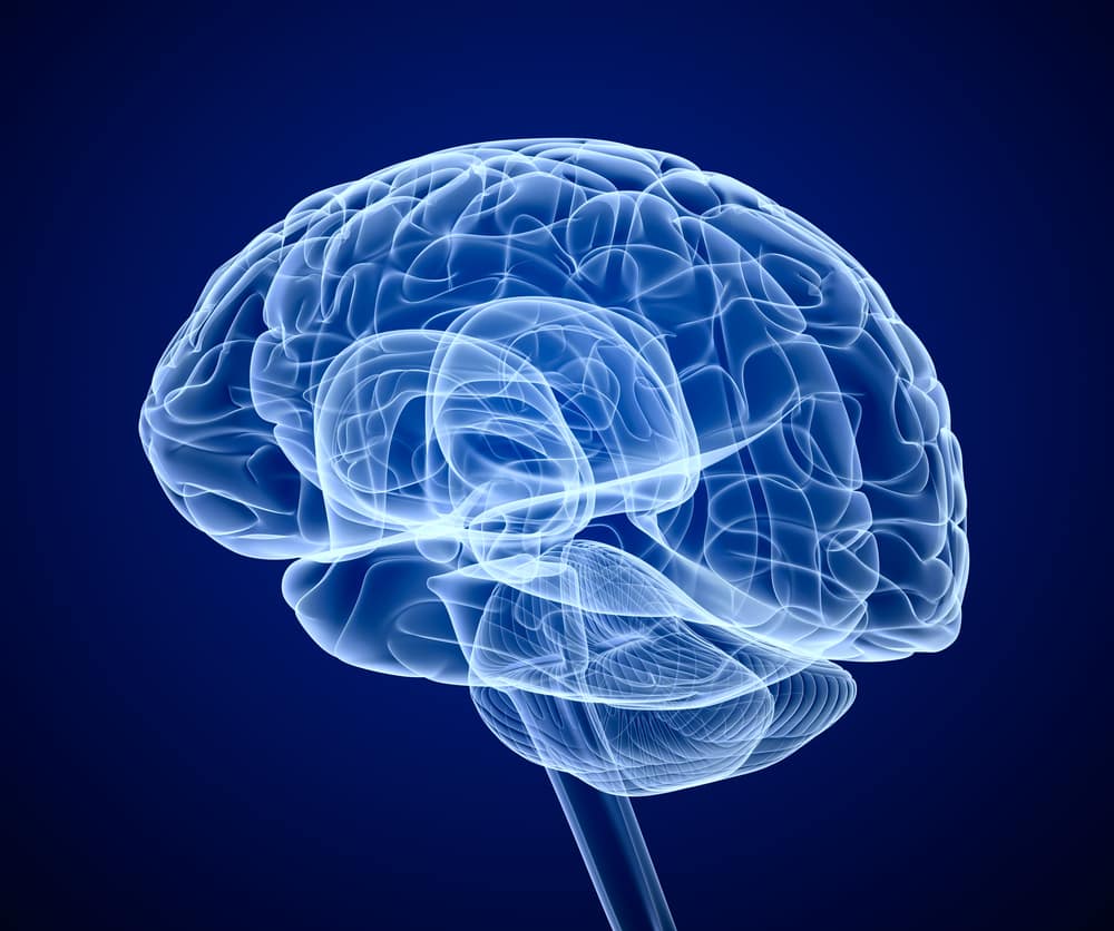 Graphic image of brain