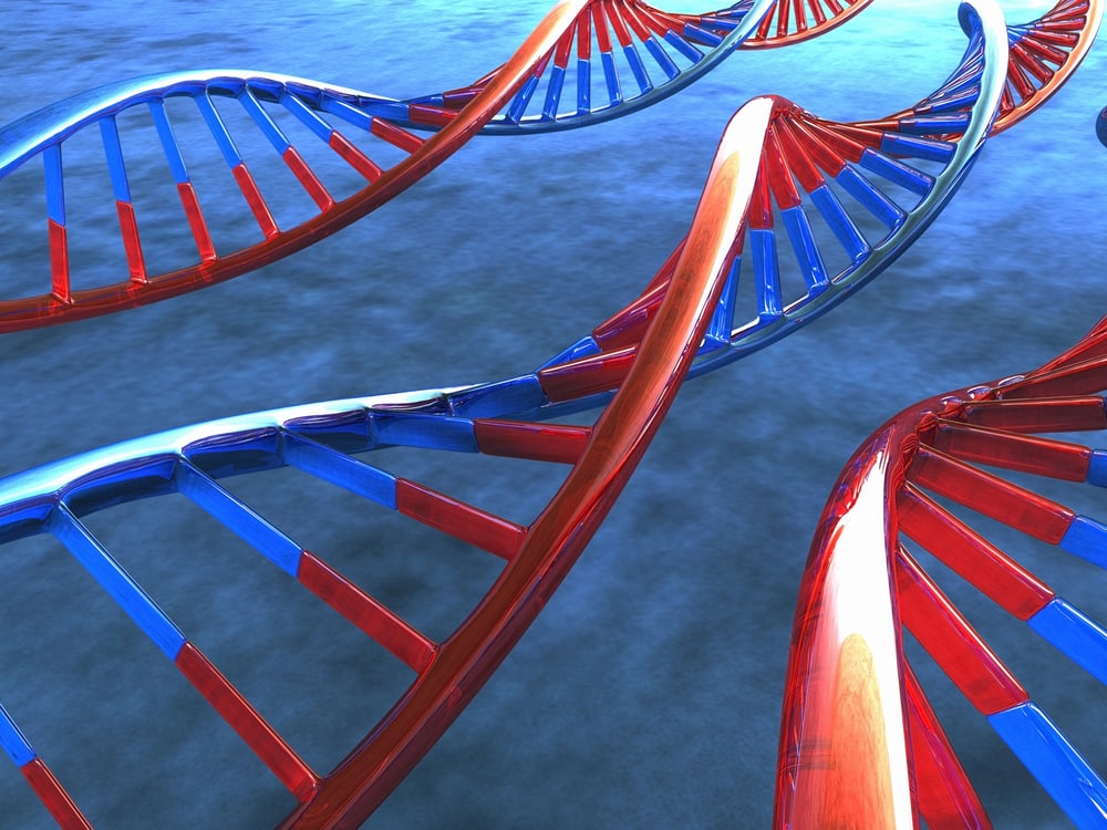 Visual of RNA or DNA sequence