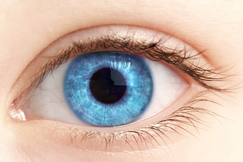 Close-up of bright blue eye
