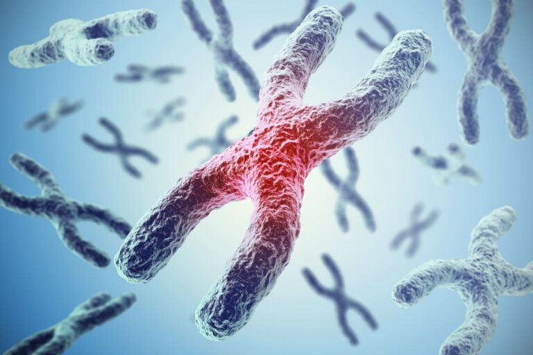 Chromosomes on blue background