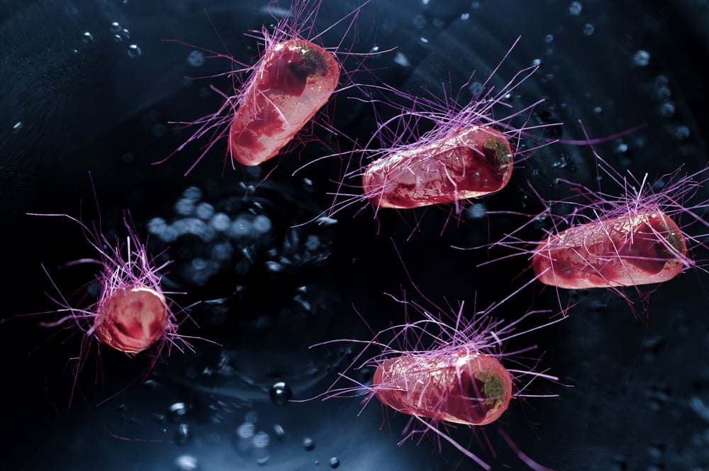 Graphic illustration of E coli bacteria