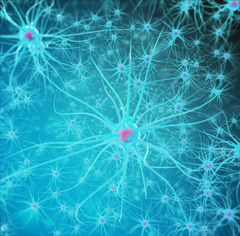 graphic illustration of brain cells, neural network