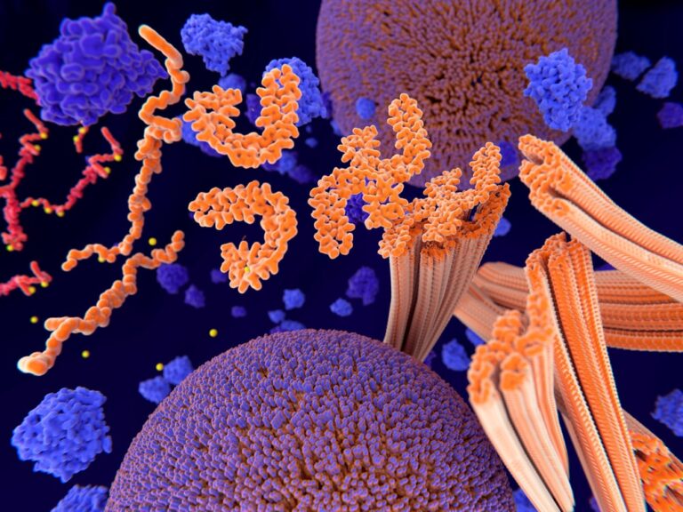 Pathological phosphorylation (yellow) of Tau proteins (red-orange) leads to disintegration of microtubuli in the neuron axon an aggregation of the tau proteins