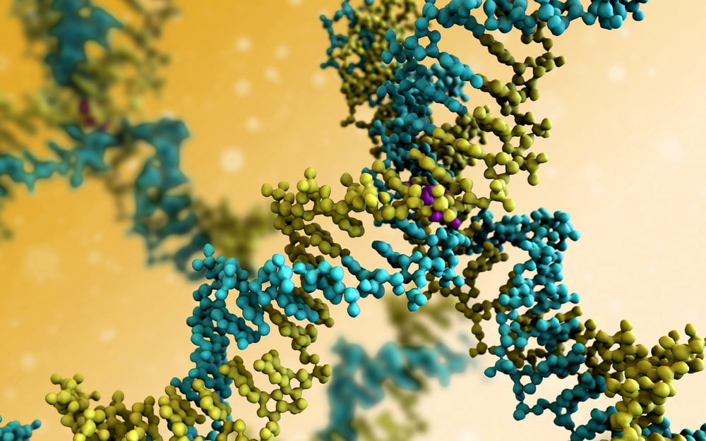 Graphic DNA molecule model