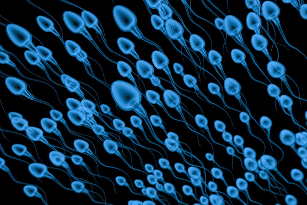 Graphic illustration of blue sperms