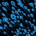 Graphic illustration of blue sperms