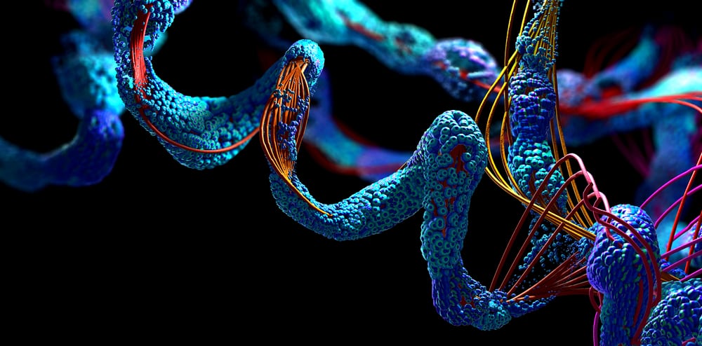 chain of amino acid or bio molecules called proteins