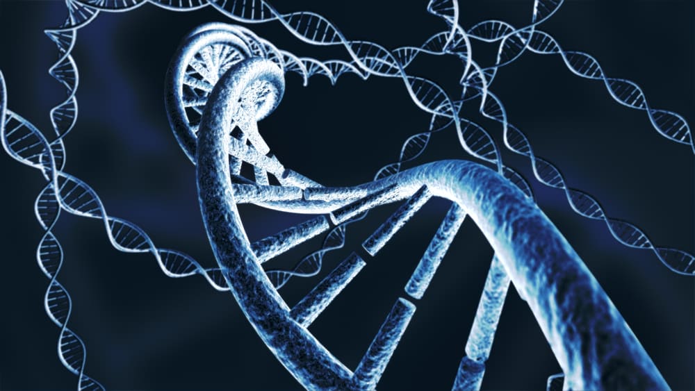 3D DNA illustration