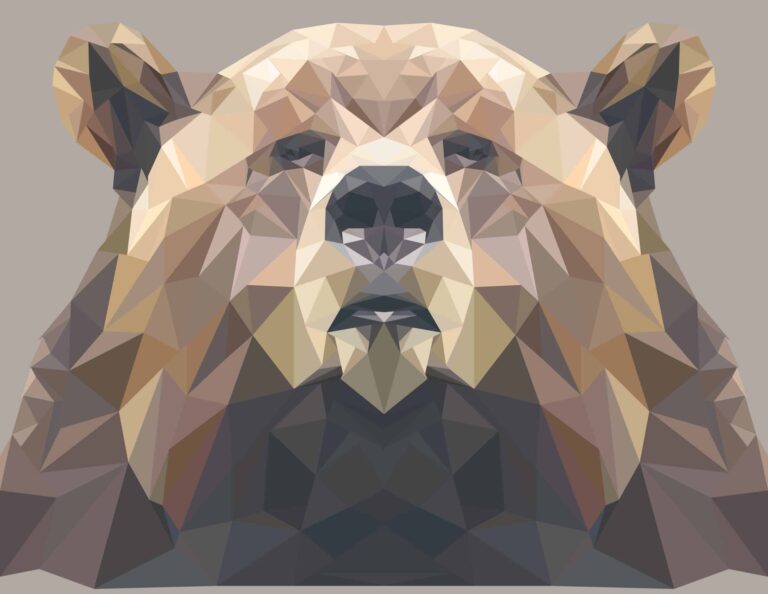 graphic illustration of bear