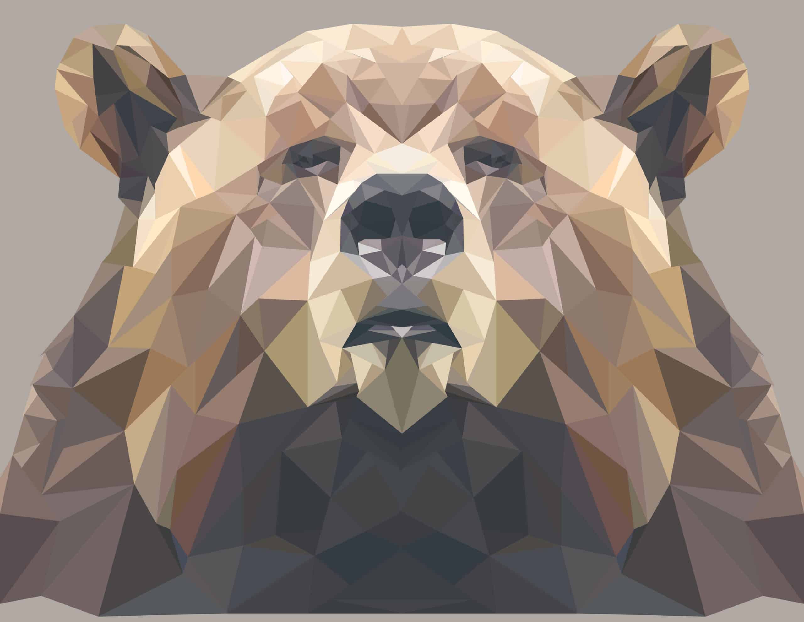graphic illustration of bear
