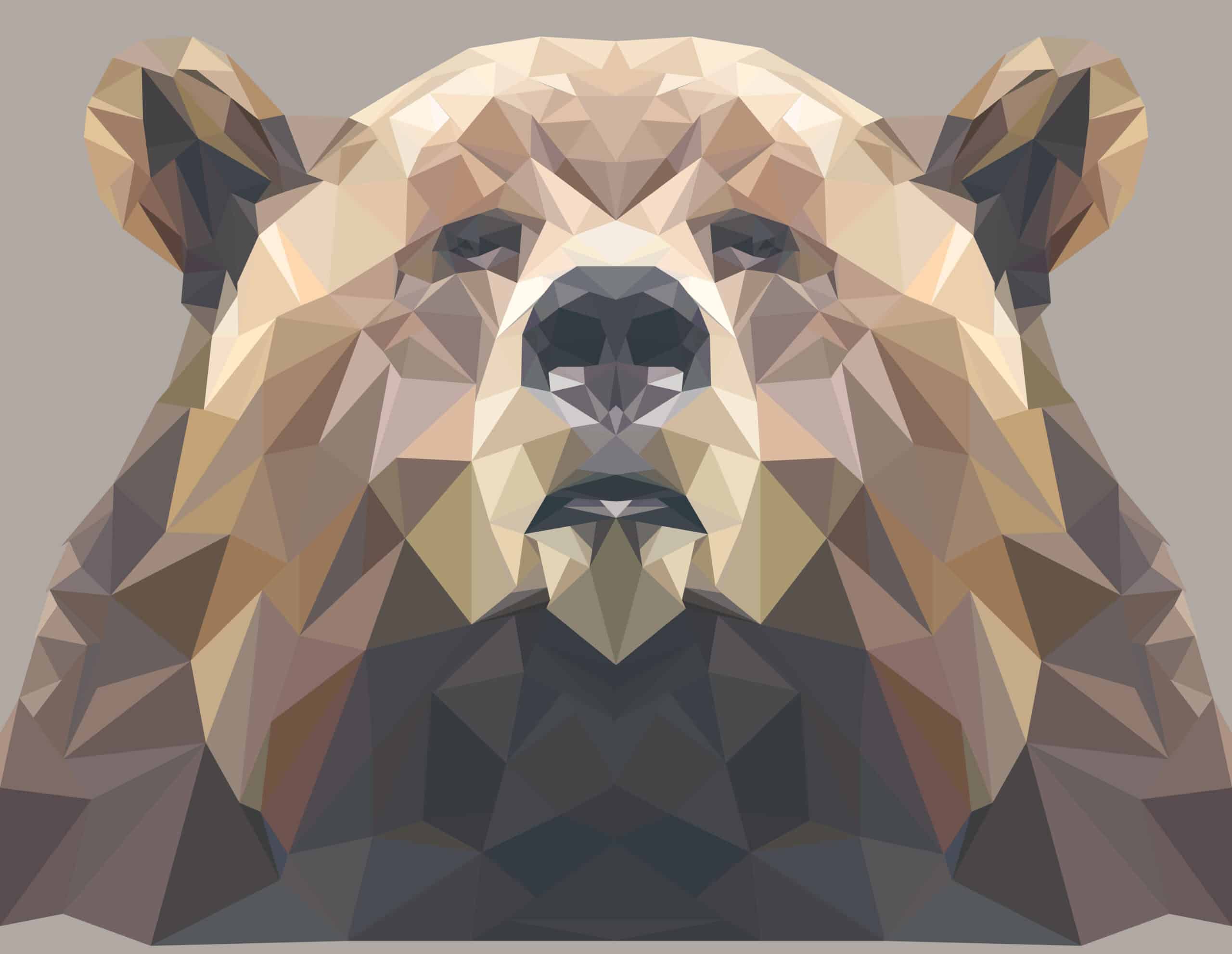 graphic illustration of bear
