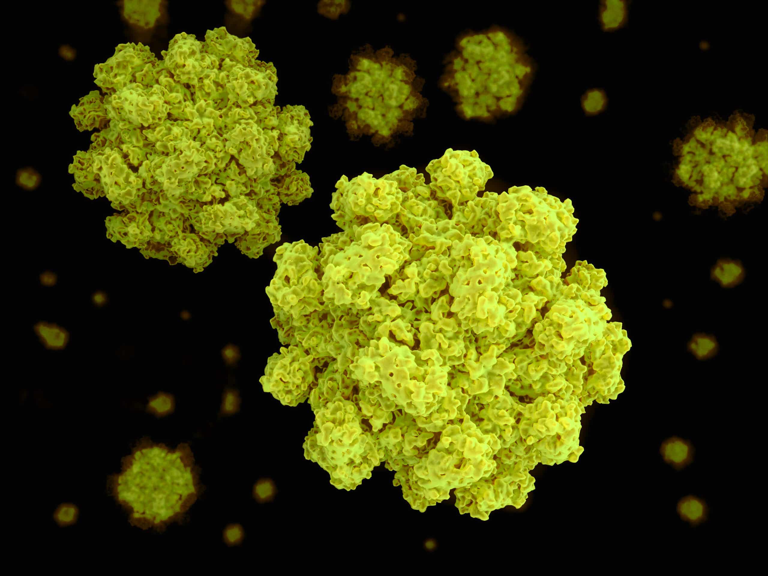 norovirus illustration on black background