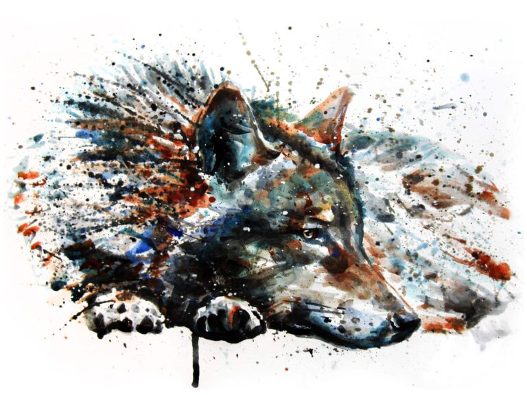 watercolor painting of wolf laying down
