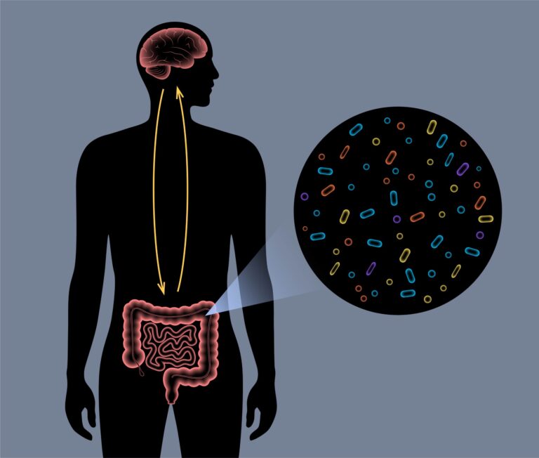 Graphic depicting connection between brain and gut