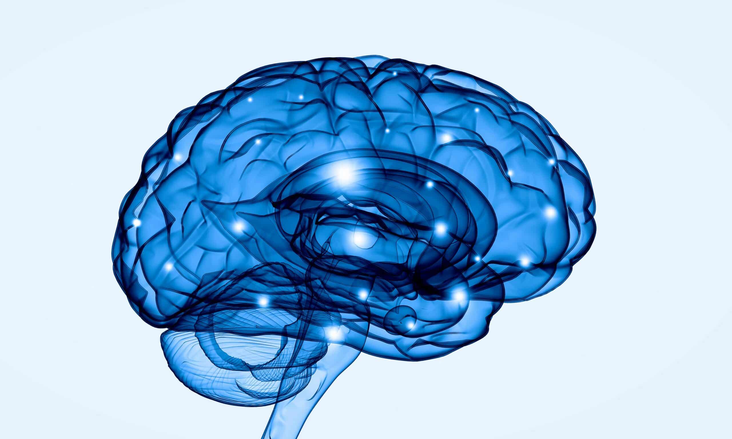 Blue-graphic-illustration-of-the-human-brain
