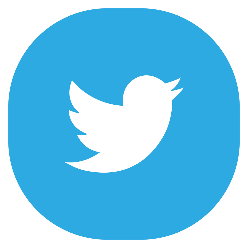 Modern Blue Round Square Twitter Bird Icon