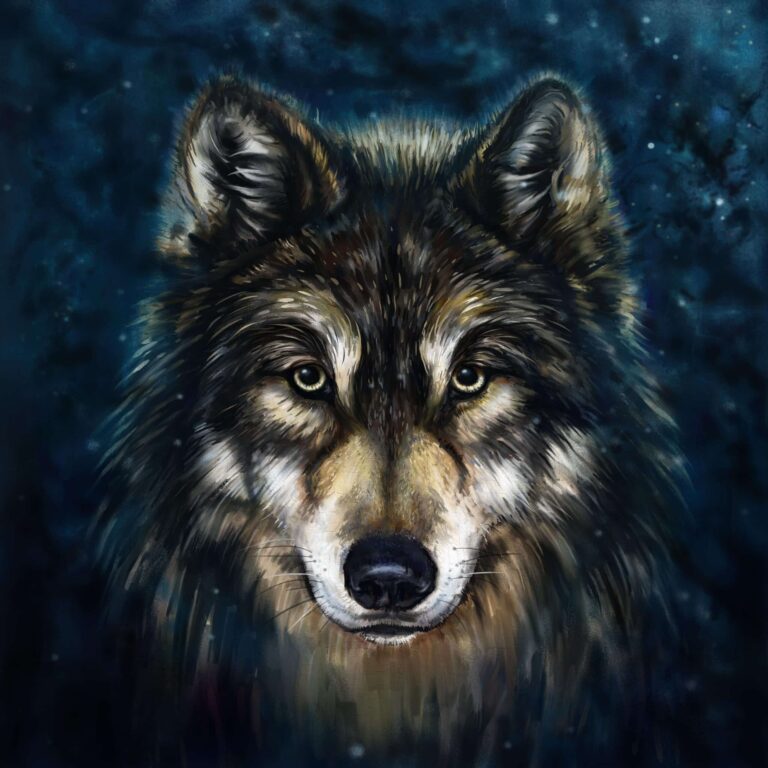 drawing of a wolf face, navy background