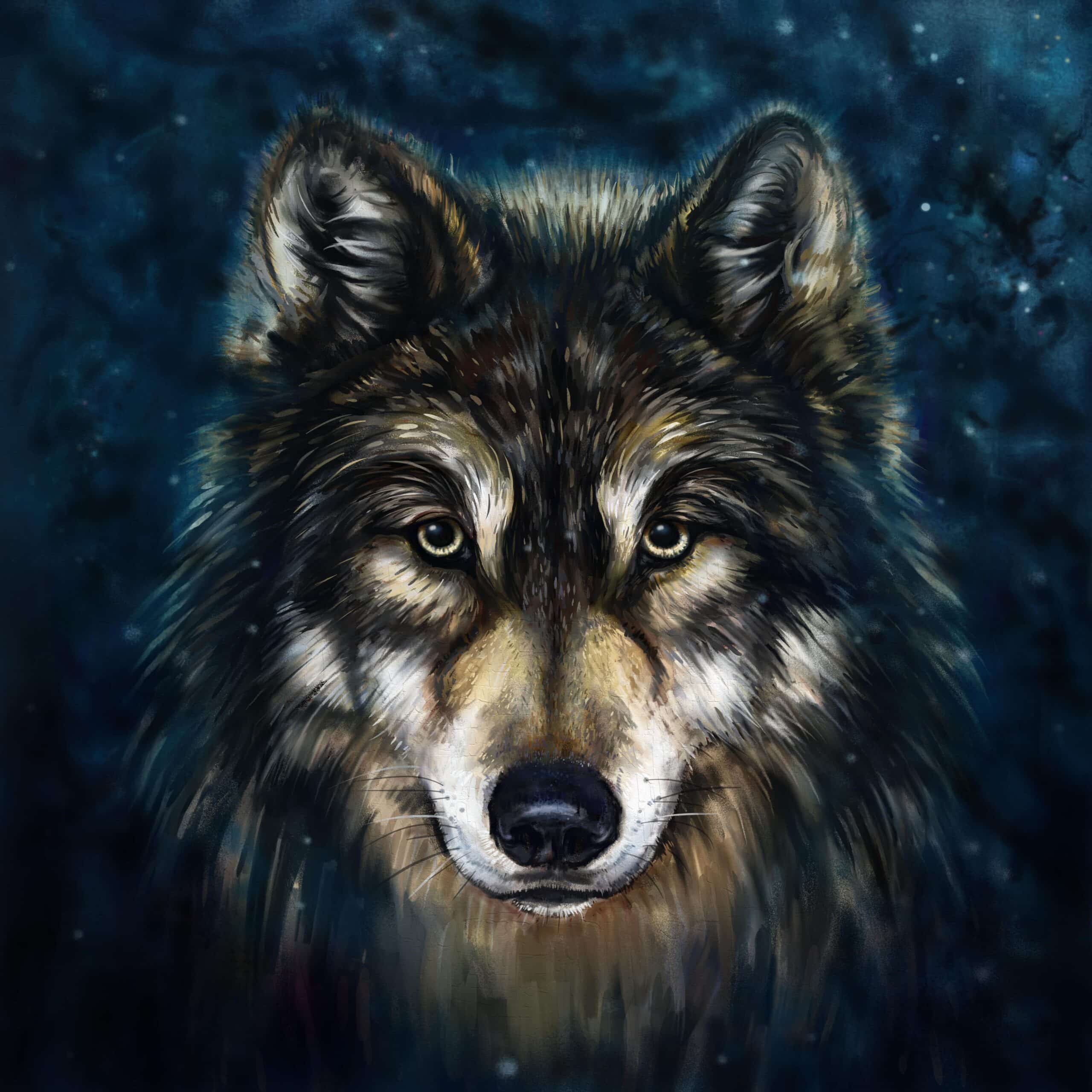drawing of a wolf face, navy background