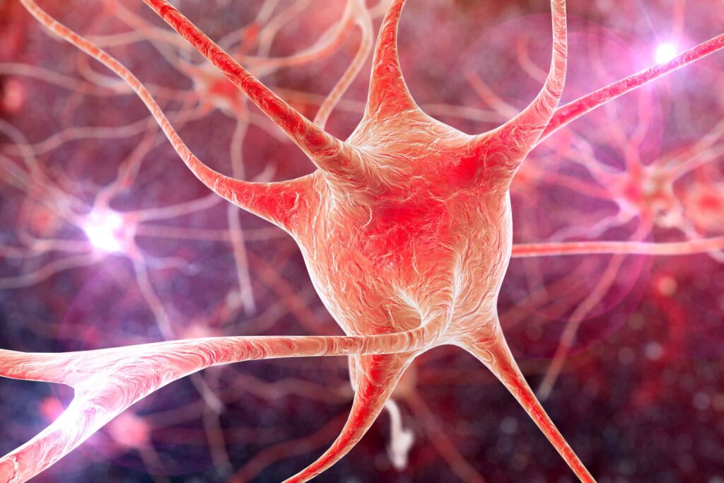 neuropharmacology