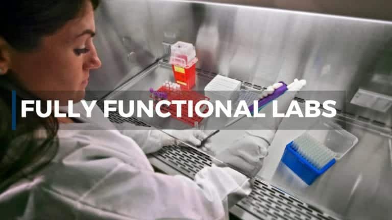 Functional-Labs