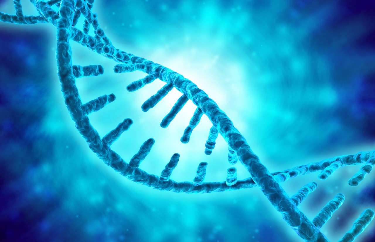 Oligo DNA Strand