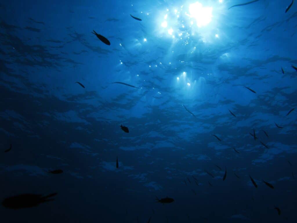 Light-stretching-underwater-in-the-ocean-illuminating-fish