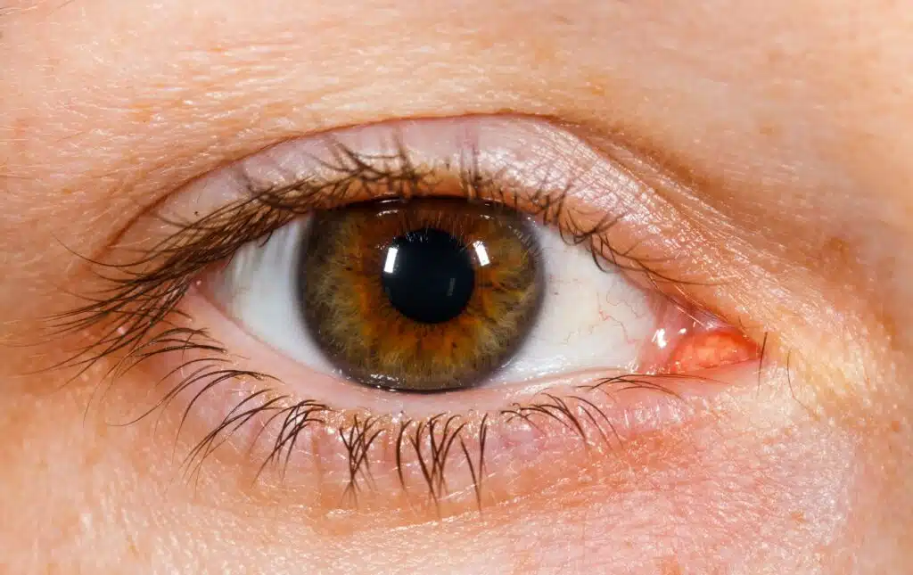 close-up-of-human-brown-eye