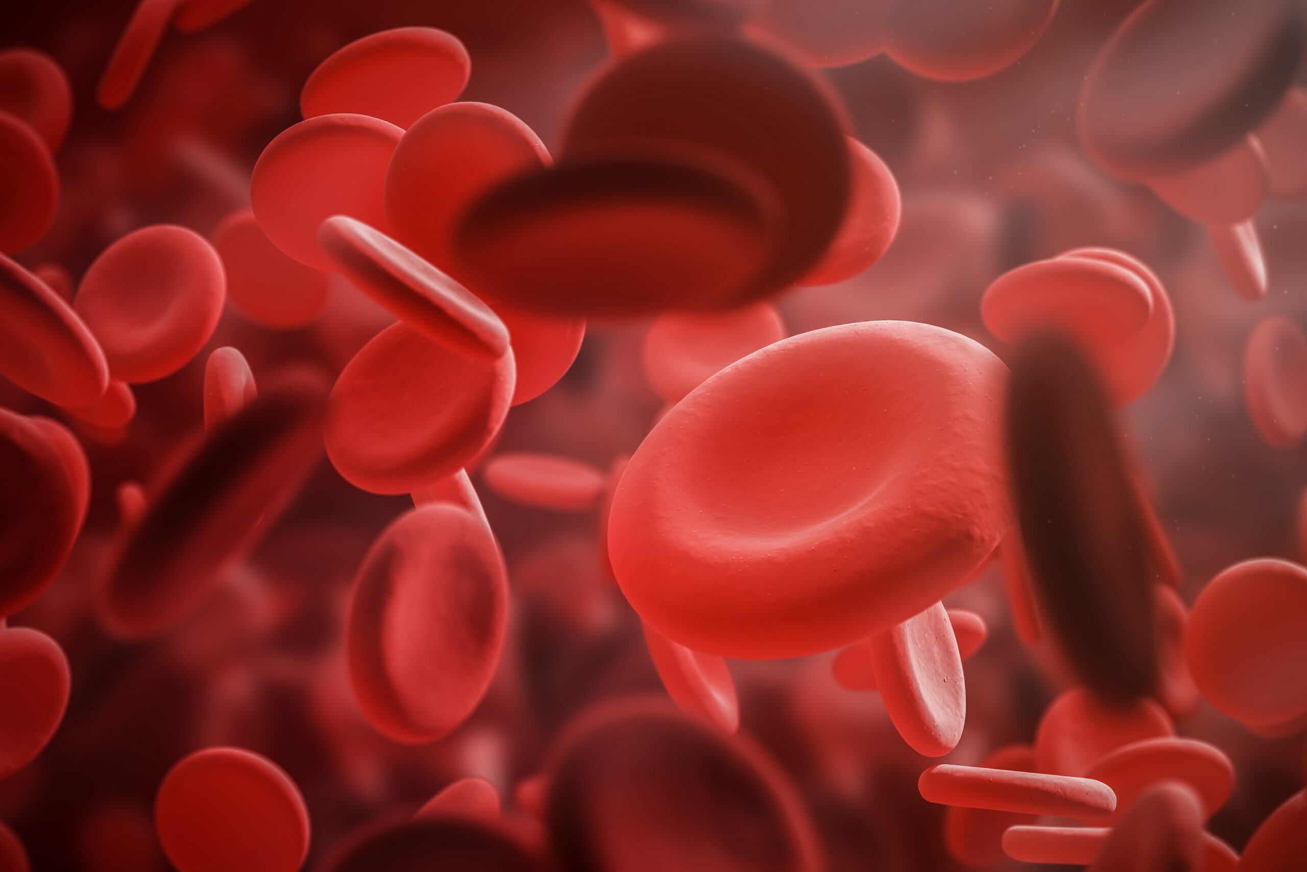 Graphic illustration of red blood cells