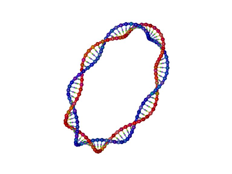Circular RNA - DNA strand in the form of a circle