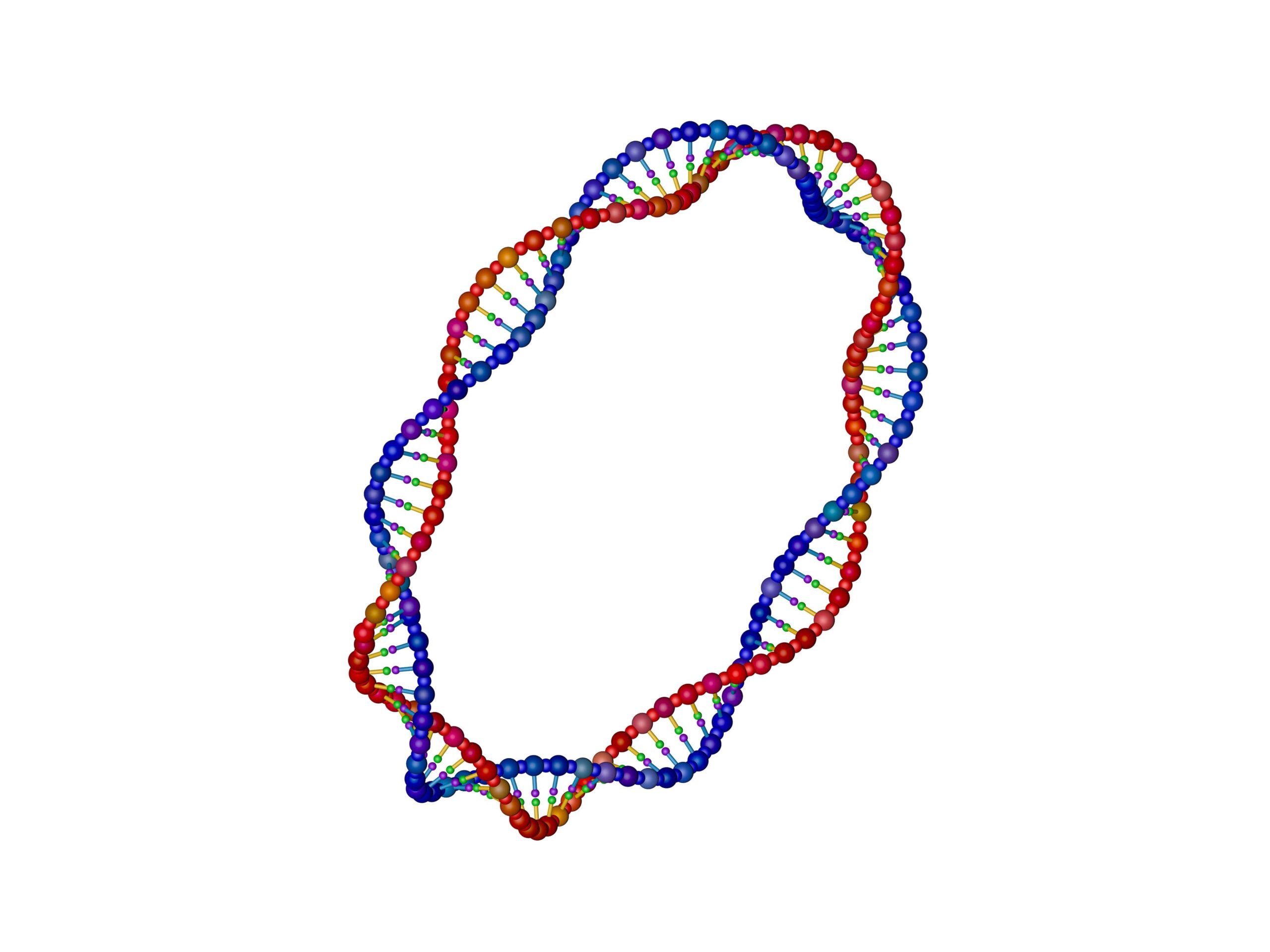 DNA strand in the form of a circle