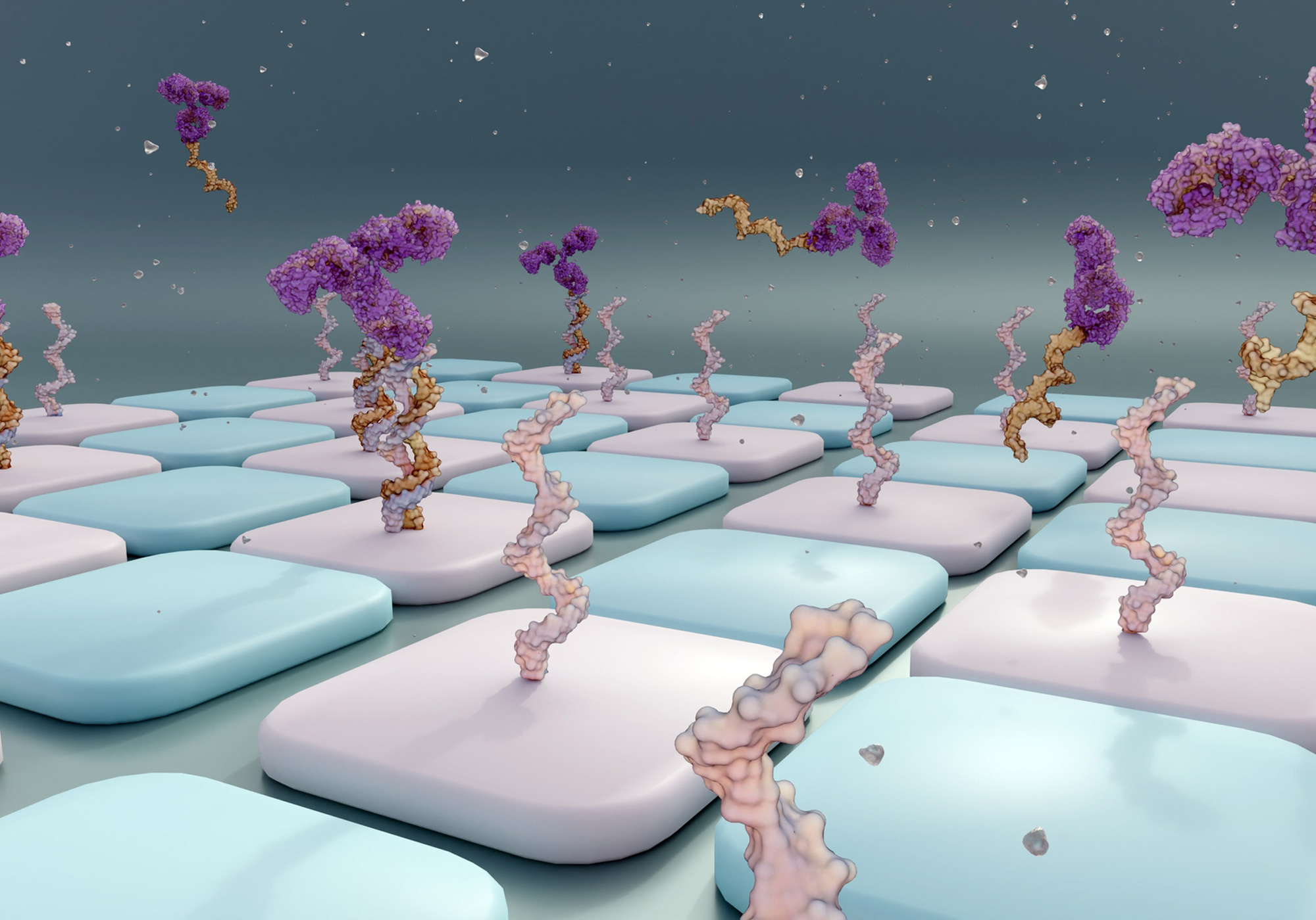 AOC-Antibody-oligonucleotide-conjugates