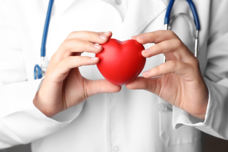 Doctor holding toy heart, close-up