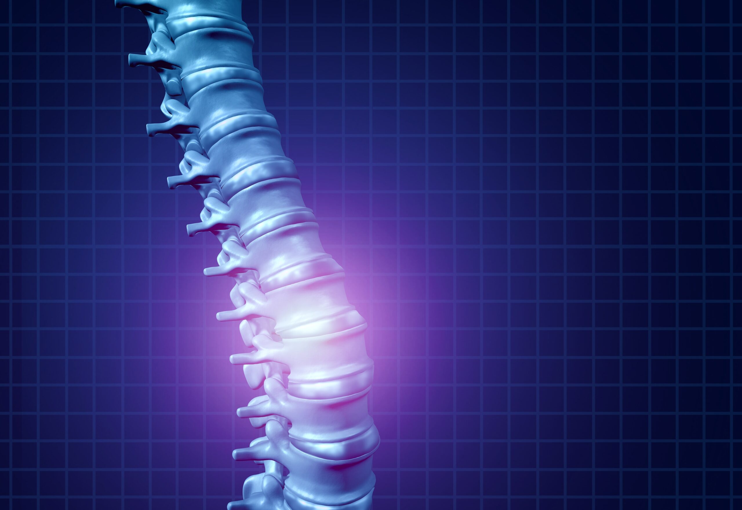 Graphic illustration of spine on purple background