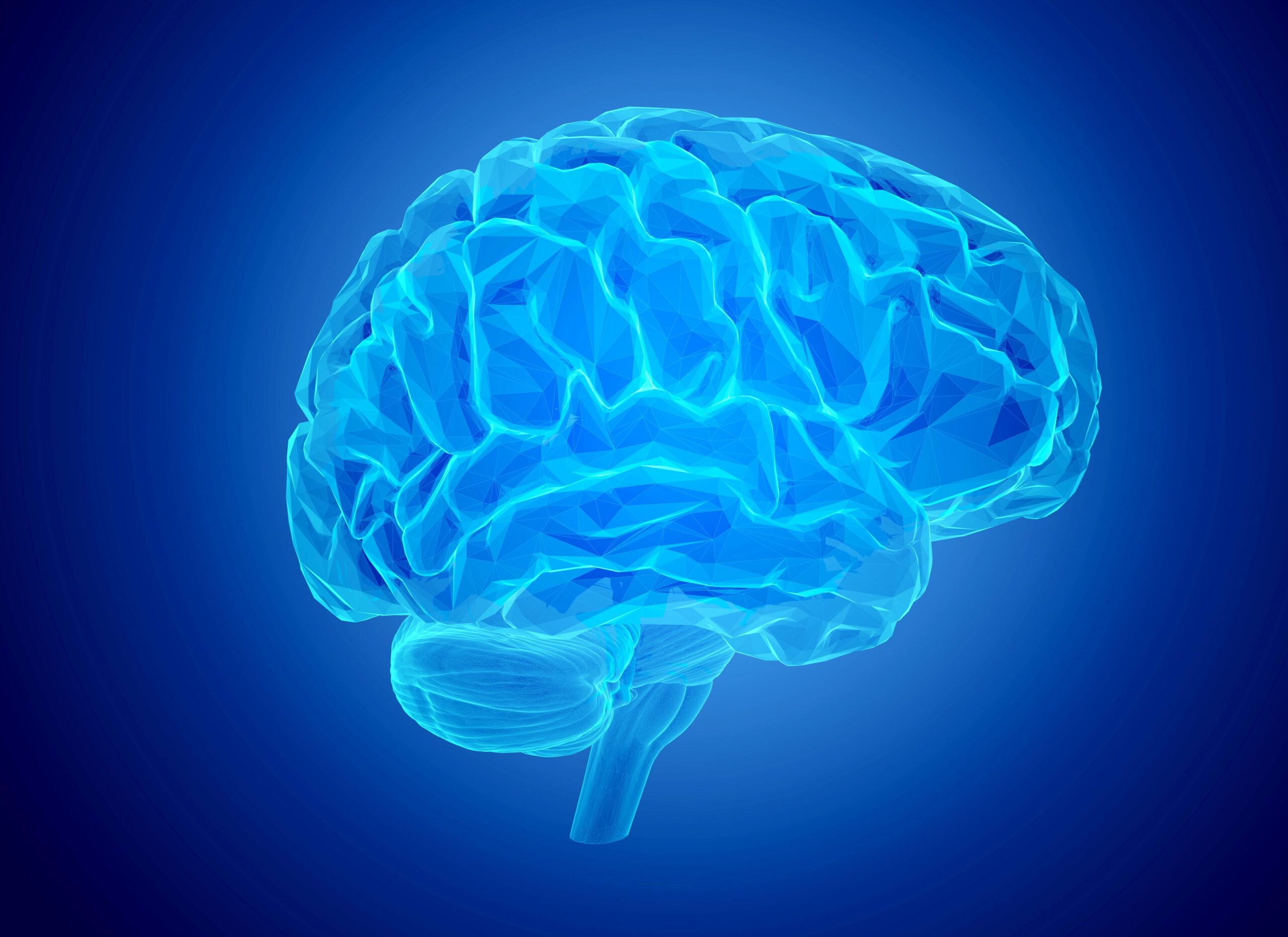 Digital illustration of human brain on blue background