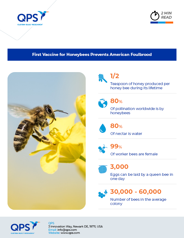 First Vaccine for Honeybees Prevents American Foulbrood