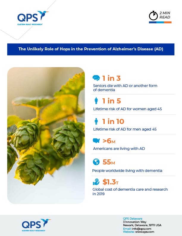 The Unlikely Role of Hops in the Prevention of Alzheimers Disease