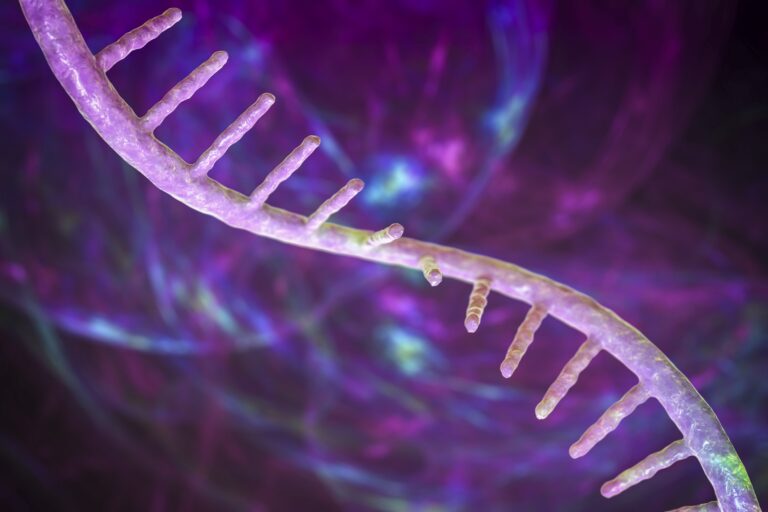 digital illustration of single strand of RNA