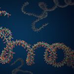 Digital illustration of RNA chain