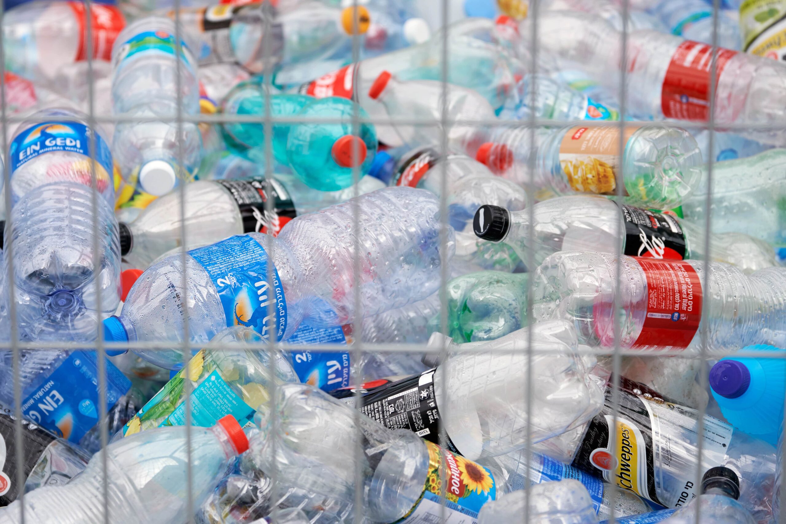 Collection of plastic bottles