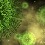 Digital illustration of virus